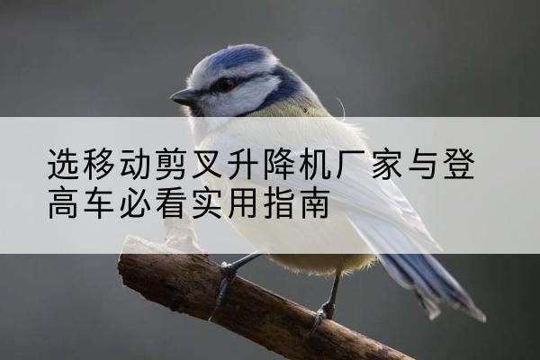 胶州电动升降机厂家-选移动剪叉升降机厂家与登高车必看实用指南