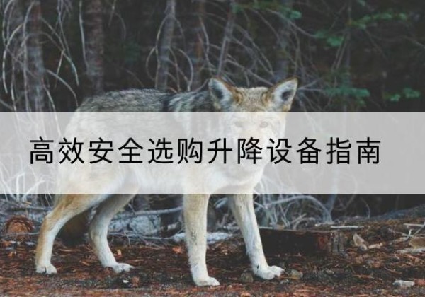 胶州升降货梯厂家推荐-*安全选购升降设备指南