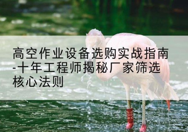 胶州剪叉式升降机厂家-高空作业设备选购实战指南-十年工程师揭秘厂家筛选核心法则